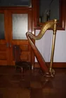 Harp