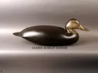 Rowley Horner Black Duck