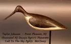 Yellow Leg Shore Bird