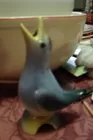 pie bird