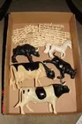 celuoid cows