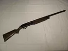 Ted Williams  Model 200  12ga. pump