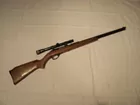 Revelation  Model 120  22cal.