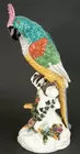 A Large Meissen Porcelain Parrot 