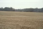 253 Acres in Gibson County IN Auction!