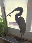 Heron Metal Figural Art