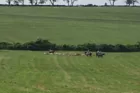 90 Acre +/- farm 