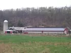 196 acres +/_Real Estate