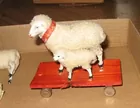 German Cotton Sheep
