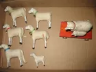 Eight German Cotton Sheep