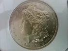 lot # 37 -1903  Morgan Dollar 