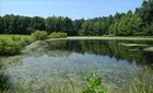 34 Acres in Mebane