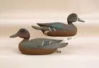 Blue Wing Teal and Green Wing Teal Reg Marter