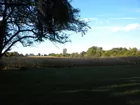 FARM GROUND SOLD 