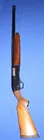 Sears 12 ga