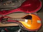 Gibson mandolin Circa 1915