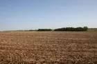 100 Acres in Gibson County Indiana