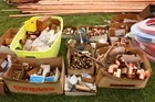 All Copper, fittings, pipe