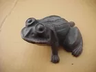 iron frog
