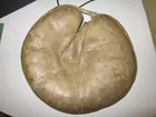 montgomery ward marathcatcher's mitt