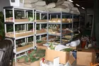Large selection Floral