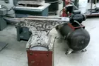 Large Anvil
