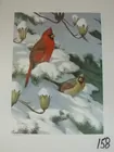 Lot# 158 - Wildlife print Winter Cardina