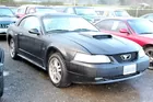 2002 Ford Mustang