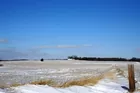 Prime Gibson Co Indiana Land Auction
