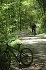 Bike Rental for 2