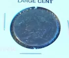 LYN LIECHTY AUCTIONS  1800's Large Cent