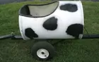 Moo Cow Train