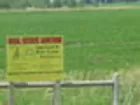 Farm 70.82 acres
