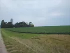 Farm land looking SW from gravel