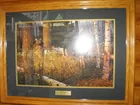 Cabelas rint