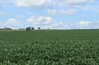 80 CSR Farm Ground