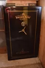 Fortress 44 space gun safe