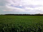 39 Acres w/Older Brick 2 Bedroom Home