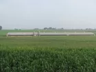 71.5 Acre Limestone Farm With Turkey House