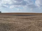 160 acres sold per acre