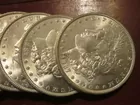 Roll Uncurlated Morgan Dollars