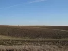 Tama County Farm