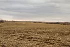 Marion County Iowa 196 Acres