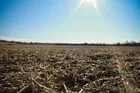 191 Acres Wayne County Iowa