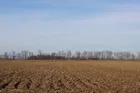 70+/- Acres Quality Tillable Farm Land!
