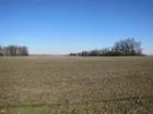 530+ Acres Farm & Rec Land in Spencer Co IN