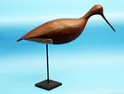 New Jersey Shore Bird, Taylor Johnson