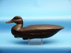 Jessie Birdsall Black Duck Decoy