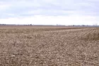 80+ Acres of Prime Posey Co Farm Land