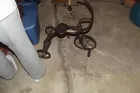 tri cycle